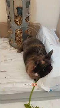 А как знакомитесь вы?)