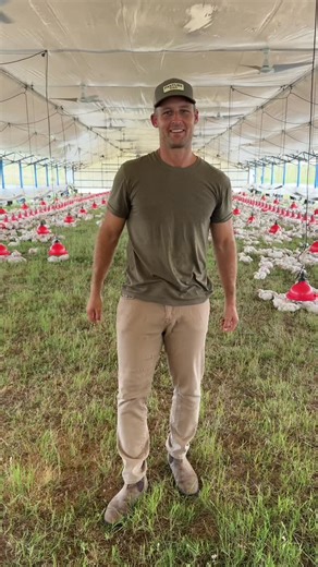 Pasturebird on Instagram: "The USDA officially defined pasture raised as living the majority of their lives out on pasture. Way more than just “access” through a door to the outdoors. A huge win for transparency, for farmers doing it right, and for everyone who believes real pasture raised should actually mean it! #pasturedpoultry #realpasturedpoultry #thecleanchicken #usda"