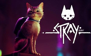 《stray》全收集通关流程