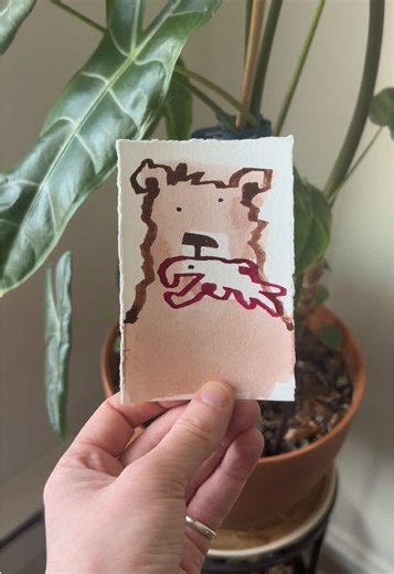 Daily Bear Illustrations from Talented Artist