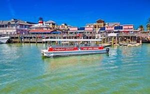 Dolphin Cruise on Treasure Island - Sunshine Scenic Tours