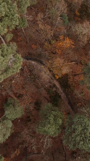 27 reactions | Want to push new limits through curves and jumps without worrying about flying off your pedals? The new Trail Roc pedal is changing the game. What’s the craziest move you’ve ever pulled off? Drop it in the comments. Bonus points if there’s video! | LOOK Cycle | Facebook