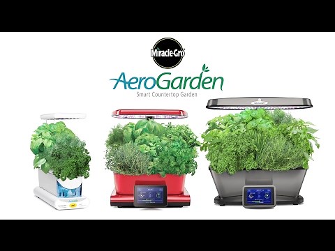 How to Prune Gourmet Herbs Seed Pod Kit