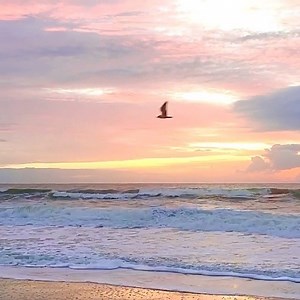 19K views · 2.1K reactions | Start your mornings watching the sunrise in #CarolinaBeach as you set your sights on #CBFromHome with this live beach cam: https://bit.ly/2WWNZAF : @mocha4susie | Visit Carolina Beach, NC | Facebook