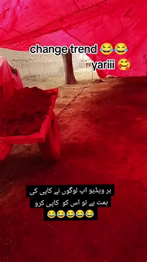 Funny TikTok Trends You Should Try