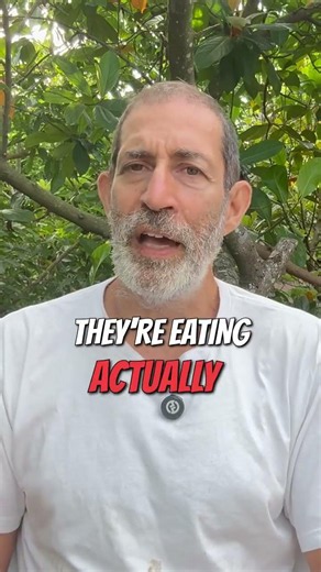 Why Do We Filter Water But Ignore Toxic Food?