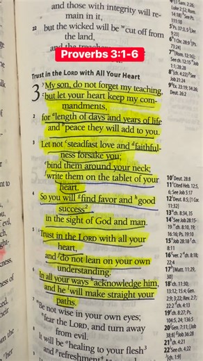 “Trust in the Lord with All Your Heart” Proverbs 3:1-6 #Jesus #bibleverse #Godisgood #TrustGod #ThankYouLord #fbreelsvideo | The Bible Verses