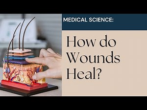 The Science of Wound Healing: Understanding the Body's Incredible Repair Process