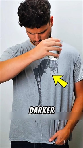 Why Clothes Get Darker When Wet 😳