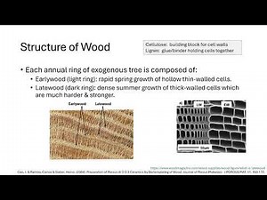 CE 417 Lecture 02: Basics of Wood Science, Properties of Interest, NDS Specifications (2026.01.14)