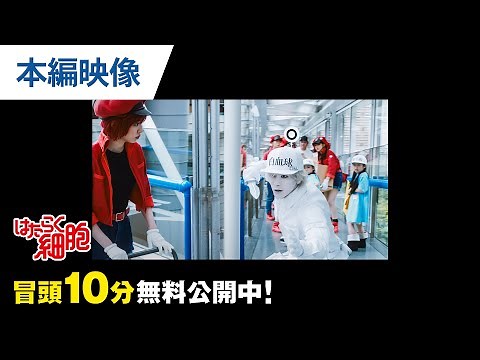 【無料冒頭10分映像】『はたらく細胞』好評デジタル配信中