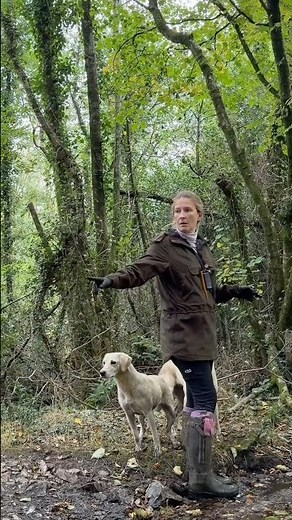 A Perfect Day on the Ducks with 3 Labradors | Good Times 🦆🐾