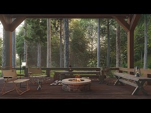 Relax in the Dense Forest | Woodland Ambience | ASMR for Sleep