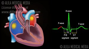 Cardiac Conduction System and Understanding ECG, Animation. on Make a GIF