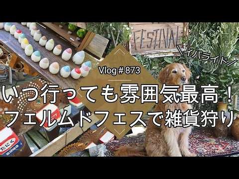 【Vlog873】【多肉植物】いつ行っても雰囲気最高！フェルムドフェスで雑貨狩り【蚤の市】【こもれび森のイバライド】