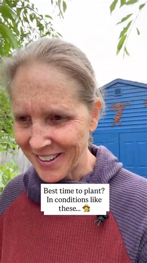 The Absolute Best Time To Plant? When It’s Like This…