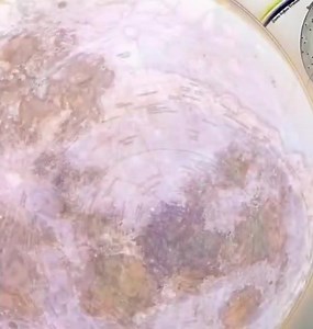 The Moon Mirror Refraction | Flat Earth Library