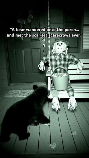 Bear Gets TERRIFIED by Halloween Scarecrows... And Runs Away 😂