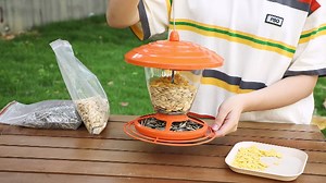 Watch Wild Bird Feeder for Outdoors on Amazon Live