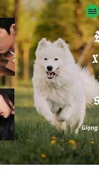 Trích ngôn tình Đầu xuân tươi sáng Ep1 | Mỏ hỗn Loan Niệm và cừu non Thượng Chi Đào 💝