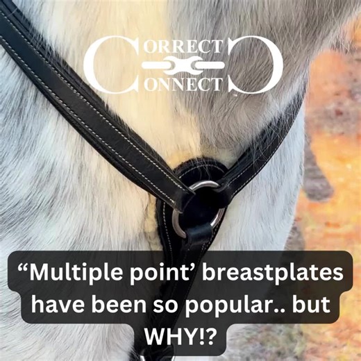 The purpose of a breastplate is to keep the saddle from slipping back. It shouldn't interfere with the horse's movement at all! Our Free Motion Breastplate helps your horse move and jump more freely. Without the leg strap that goes to the girth, it moves WITH the horse without shoulder restriction! Large/X-Full size fits most horses 16.3 Hands (170cm) and up Medium/Full size fits most horses 15.3-16.2 Hands (160cm-170cm) Small/ Pony or Petite and narrow horse fits most horses 13.0-15.0 Hands (13