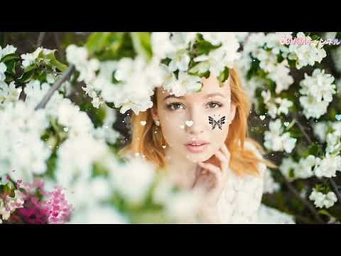 サザンオールスターズ【MyForeplayMusic】桑田佳祐🎤