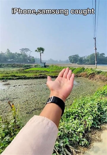 Understanding Device and FPS Settings for Better Videos