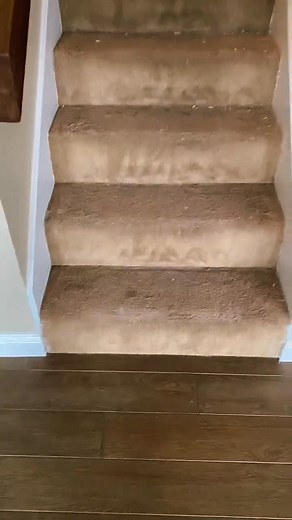 20 reactions | Need junk gone today? 98 Junk Removal offers same-day cleanouts done by a licensed and insured crew that gets it right the first time. ✅ Homes, offices, garages & job sites ✅ Fast, friendly, and affordable ✅ No hidden fees — upfront pricing always  Call 678-499-3092 and get your free quote now. | 98 JUNK Removal | Facebook