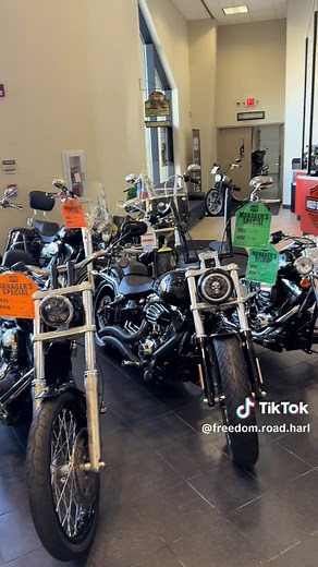 Adopt a Pre-Owned Motorcycle at Freedom Road Harley