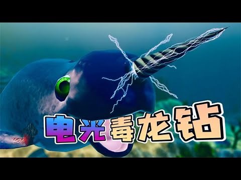 海底大猎杀16-旗鱼终极进化，电光毒龙钻，一钻毙命！| 勾魂公狒狒