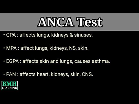 ANCA Test | Why Test For ANCA | Antineutrophilic Cytoplasmic Antibodies |