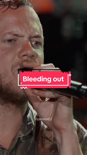 IMAGINE DRAGONS - Bleeding Out Fan Video