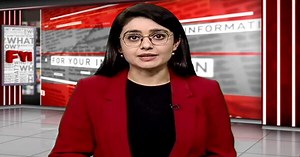 Covid Antibodies: Explained