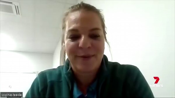 283K views · 4.3K reactions | BUSSELTON JETTY'S NEW ATTRACTION If you peek beneath the waves of Busselton jetty.. you'll be treated to an amazing sight. Thousands of fish have taken up residence in a gallery of sculptures. | 7NEWS Regional WA | Facebook