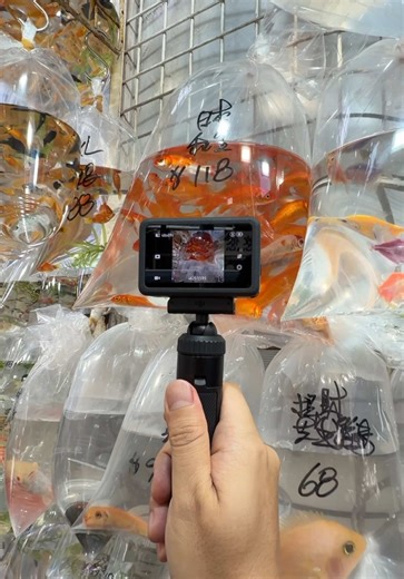 Enhance Your Action Camera with DJI Macro Lens