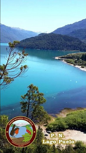 🌳Así es el Parque Nacional Lago Puelo, Chubut | Ruta 40 Patagonia Argentina #ruta40