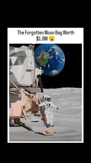 EYE Fusion on Instagram: "日本利用压电瓷砖将脚步转化为电能。这些瓷砖捕捉来自你脚步的动能。当你行走时，你的重量和动作会对瓷砖产生压力。瓷砖会轻微弯曲，从而产生机械应力。瓷砖内部的压电材料将这种应力转化为电能。每一步都会产生少量电荷，而数百万步结合在一起就能产生足够的电力来驱动 LED 灯、数字显示屏和传感器。在像涩谷车站这样繁忙的地方，每天大约有 240 万个脚步为这一系统作出贡献。这些电能可以被储存或立即使用，从而减少对传统电力来源的依赖，并支持可持续的城市基础设施。这种方法将日常运动转化为实用的可再生能源 #日本 #知识 #事实 你知道吗 推荐 科技 创新 历史 技术 实验 热门"