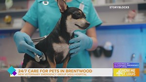 Sponsored: New Veterinary Emergency Group Hospital offers 24/7 care for pets in Brentwood