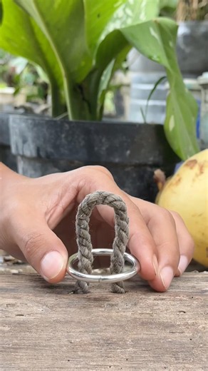 6 Must-Know Rope Knots Everyone Should Learn