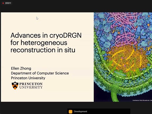 Heterogeneous reconstruction of biomolecular landscapes in situ with cryoDRGN