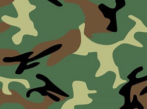 Type 99 (camouflage) - Alchetron, The Free Social Encyclopedia