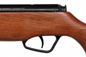 Stoeger X20 Описание