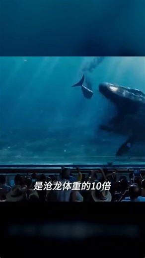 The skeleton of the Peruvian giant whale is entirely solid, making a blue whale look like a baby ...