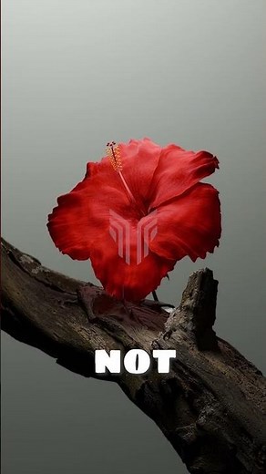 Really cool geometry nodes for making flowers #blender #blender3d #3dart