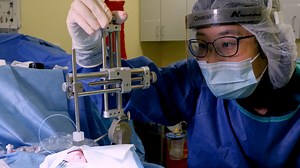 Injections of AAV Vectors for Optogenetics in Anesthetized and Awake Behaving Non-Human Primate Brain