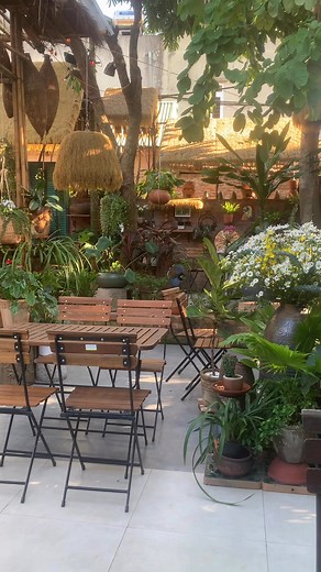 Hai Hoang Cat on Reels