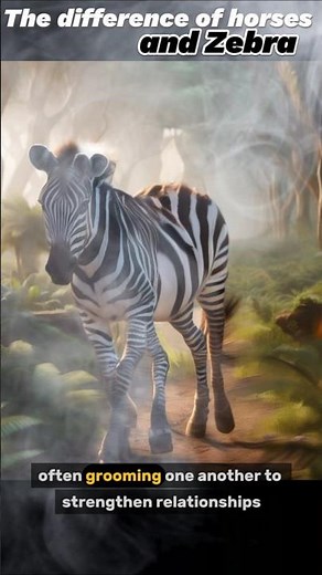 Zebras vs. Horses: More Than Just Stripes?