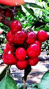 1.3M views · 36K reactions | Rafid on Reels | Facebook