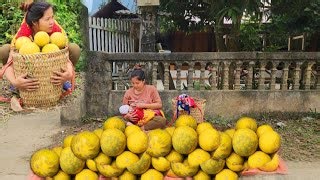 Single mother Harvesting grapefruit to sell, taking care of, and cooking for children | Tương Thị Mai