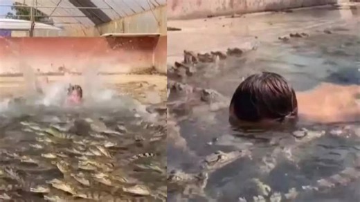 Boy swims in crocodile-infested pool in viral video, netizens left shivering with fear